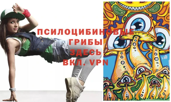 стафф Заволжск