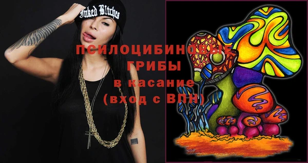 шишки Алзамай