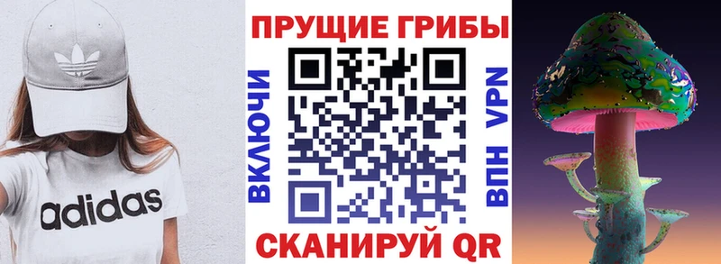 Псилоцибиновые грибы Psilocybine cubensis  где купить наркоту  Лебедянь 